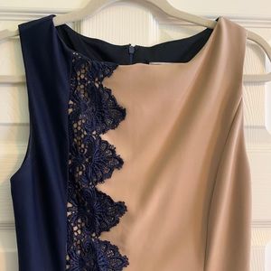 Tan and Navy Dress
